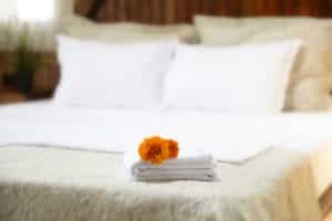 iStock_000020845554_Full-test